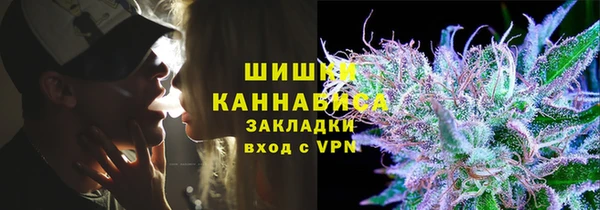 PSILOCYBIN Бугульма