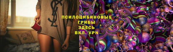 PSILOCYBIN Бугульма